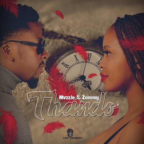 Thando (feat. Zammy)_poster_image