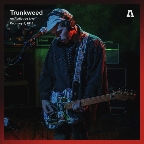 Trunkweed on Audiotree Live