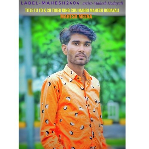 Tu to K Ch Tiger King Chu Mahbi Mahesh Hodayali