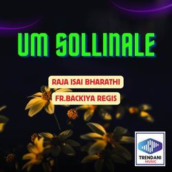 Um Sollinale-MQo8SUJ9fWo