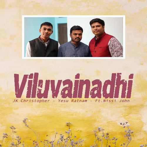 Viluvainadhi (feat. Nissi John)_poster_image