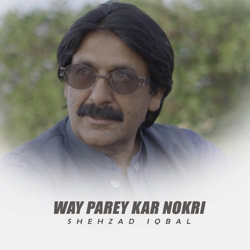 Way Parey Kar Nokri