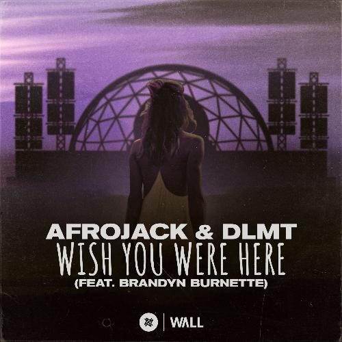 Wish You Were Here (feat. Brandyn Burnette) (Extended Mix)