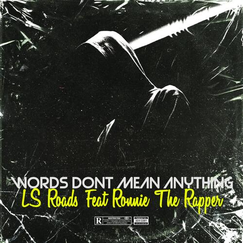 Words Dont Mean Anything (feat. Ronnie The Rapper) cover art