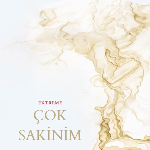 Çok Sakinim_poster_image