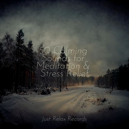 Blissful Melodia cover art
