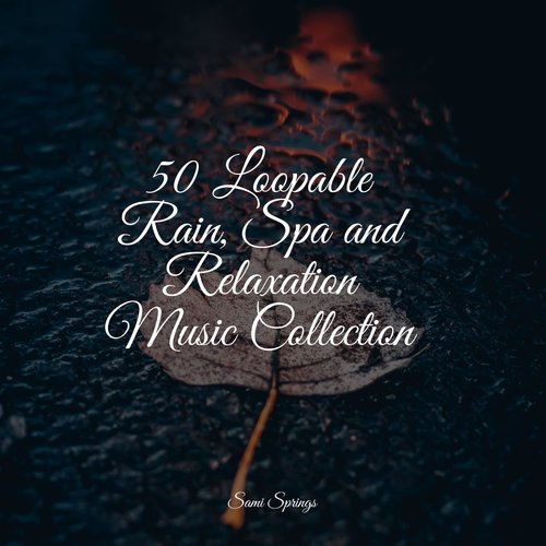 50 Loopable Rain, Spa and Relaxation Music Collection_poster_image