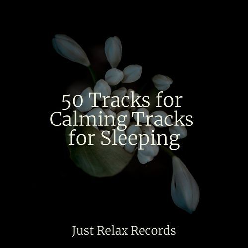 50 Tracks for Calming Tracks for Sleeping