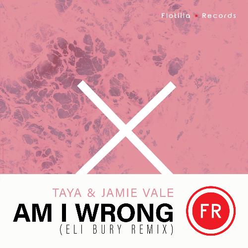 Am I Wrong (Eli Bury Remix Extended Mix)