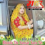 Bhoola Du Sansar Sara Ne