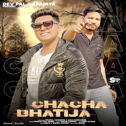 Chacha Bhatija (Feat. Pankaj Pal Dario, Golu Ramgadiya) (Slowed + Reverb)