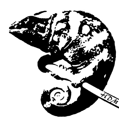 Chamäleon cover art