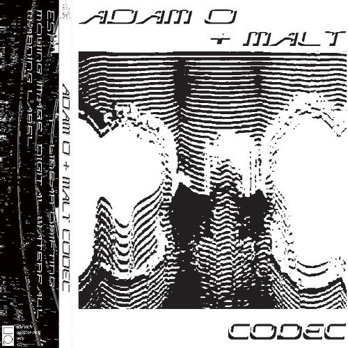 Codec