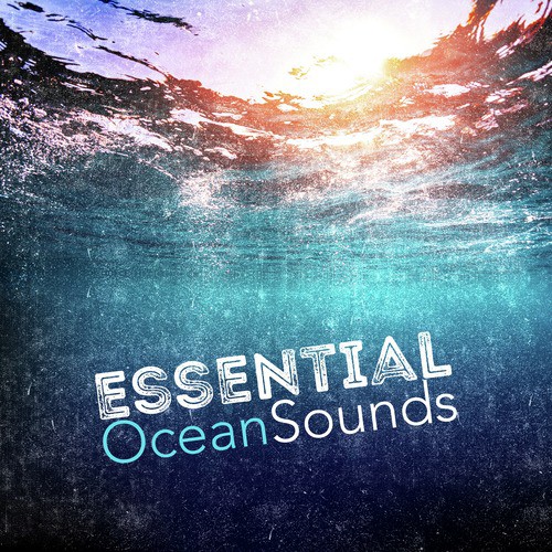 Essential Ocean Sounds