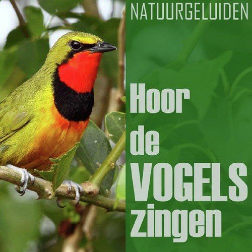Koekoek cover art