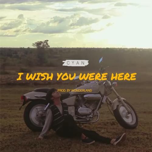 I Wish You Were Here