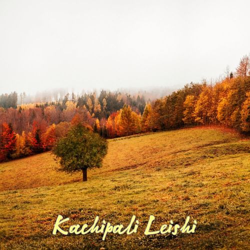 Kachipali Leishi