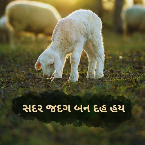 સદર જદગ બન દહ હય