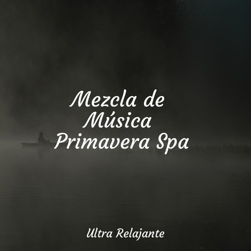 Mezcla de Música Primavera Spa_poster_image