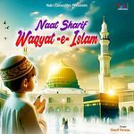 Naat Sharif - Waqyat -e - Islam