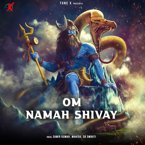 Om Namah Shivay (PSYTrance)