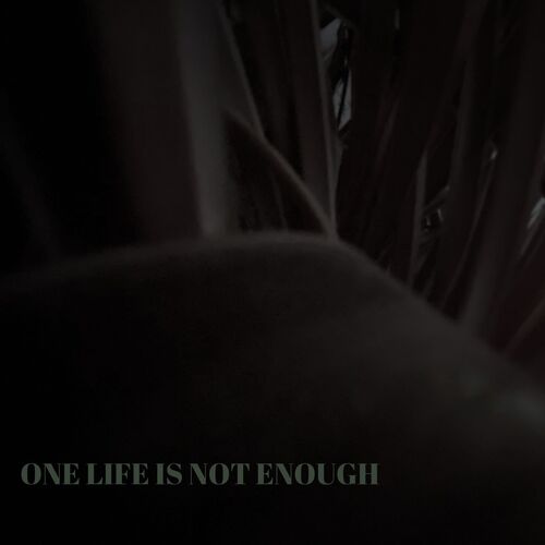 One life is not enough_poster_image