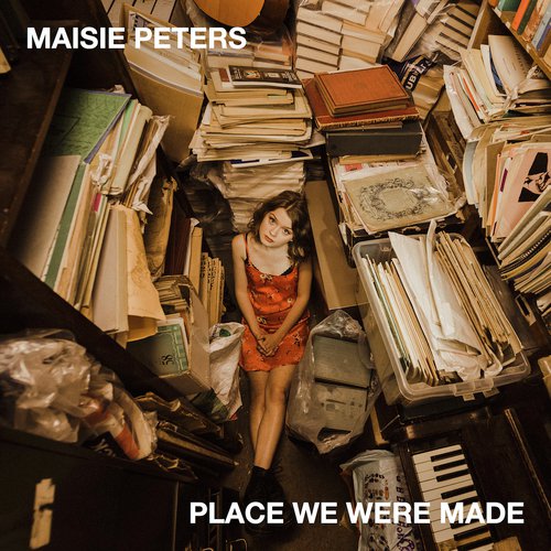 Place We Were Made_poster_image