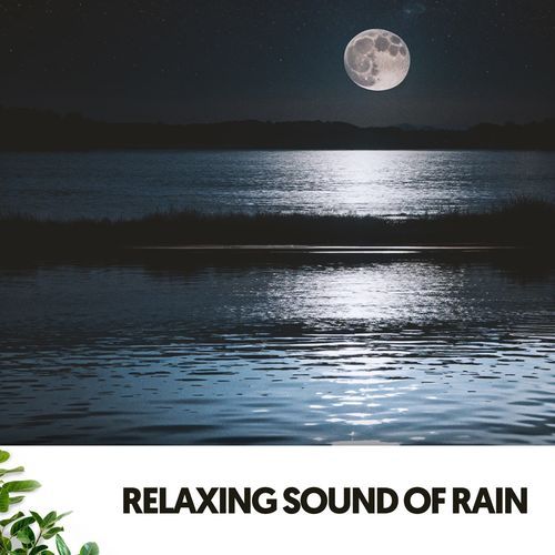 Rainy Day Delight cover art