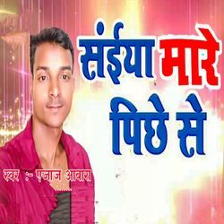 Saiya Maare Pichhe Se