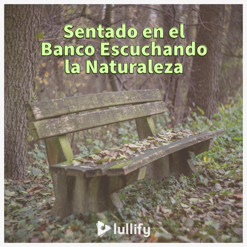 Ambiente de bosque cover art
