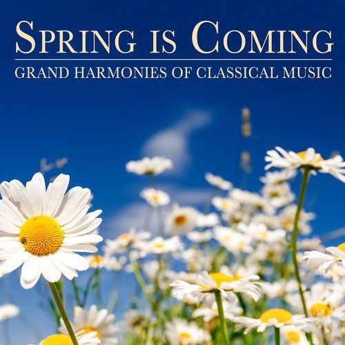 Symphony No. 1 in B-Flat Major, Op. 38 "Spring": IV. Allegro animato e grazioso