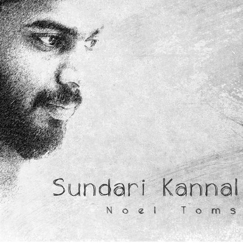 Sundari Kannal_poster_image