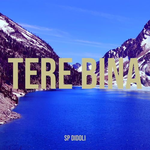 Tere Bina