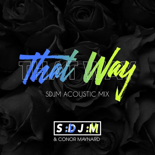 That Way (SDJM Acoustic Mix)_poster_image