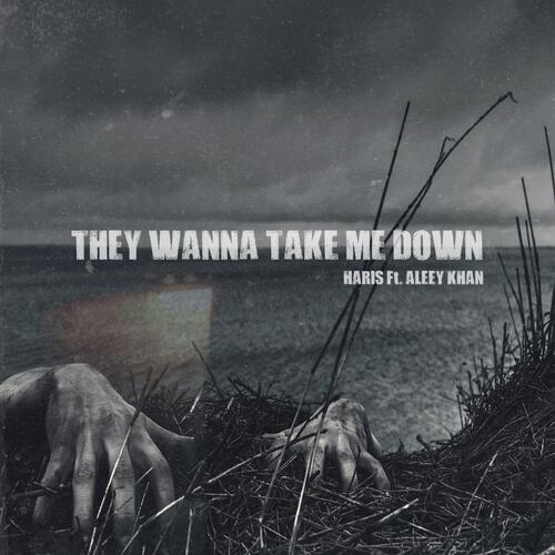 They Wanna Take Me Down (feat. Aleey Khan)_poster_image