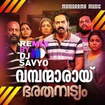 Vambanmarayi (DJ Remix)