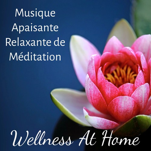 Wellness At Home - Musique Apaisante Relaxante de Méditation pour Augmenter la Concentration Bonne Humeur Bien Dormir_poster_image