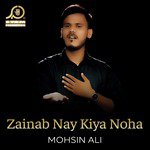 Zainab Nay Kiya Noha - Single