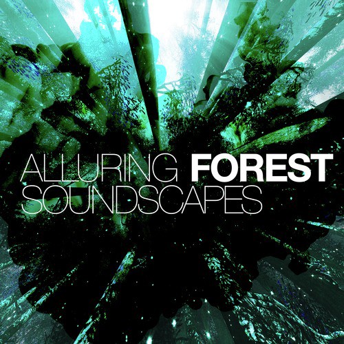 Alluring Forest Soundscapes