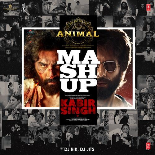 Animal X Kabir Singh Mashup