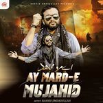 Ay Mard E Mujahid