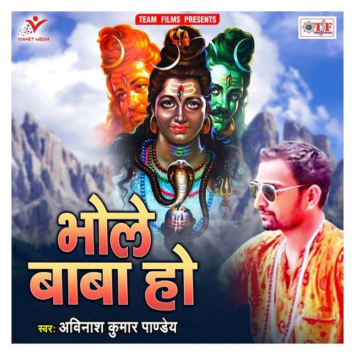 Bhole Baba Ho cover art