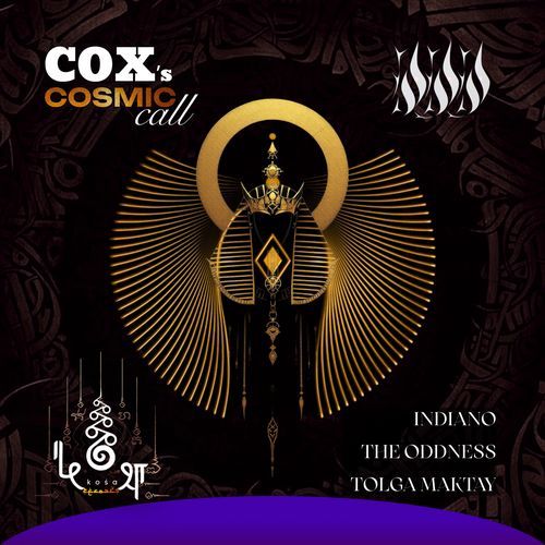 Cosmic Call cover art