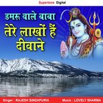 Damru Vale Baba Tere Lakho Hai Deewane