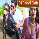 Dil Diwani Bhele