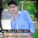 Dil ku de wishwas ruwan (Hindi)