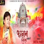 Fagan Rangeela Aaya Hai artwork