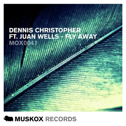 Fly Away (feat. Juan Wells) [Enigmatic Remix]