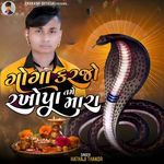 Goga Karjo Rakhopa Tame Mara