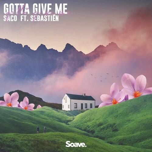 Gotta Give Me (feat. Sebastiën)_poster_image